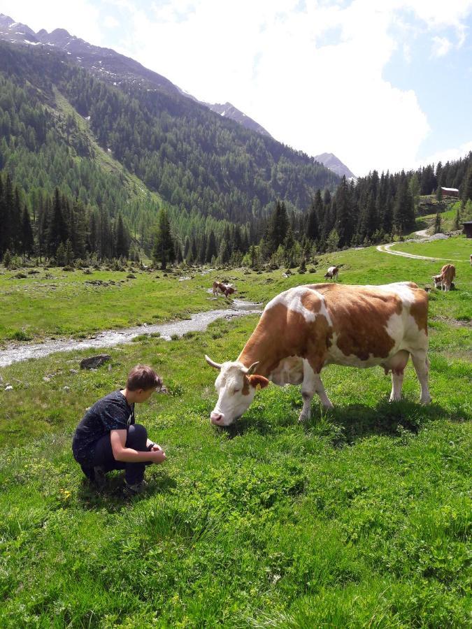 Zirbenchalet Grossglockner Хайлигенблут Екстериор снимка